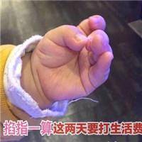 altcoin yang berpotensi Lu Shanyun berkata: Wu Xingxu adalah perut kecil